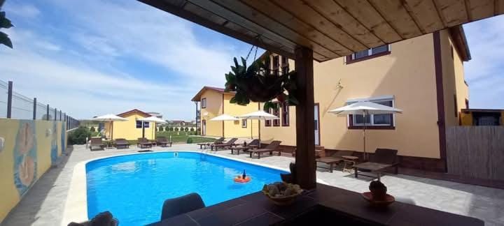Swimming pool, sunbed