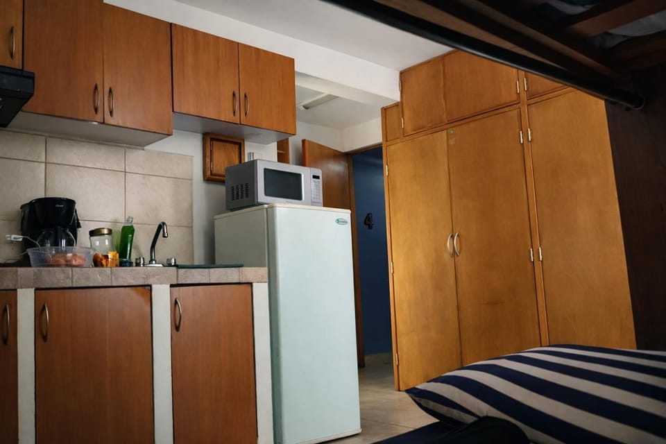 Lofts San Ángel Apartment in Mexico City