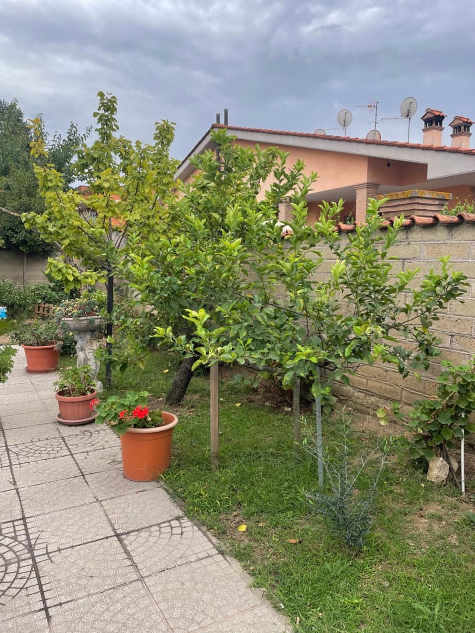 Garden, Garden