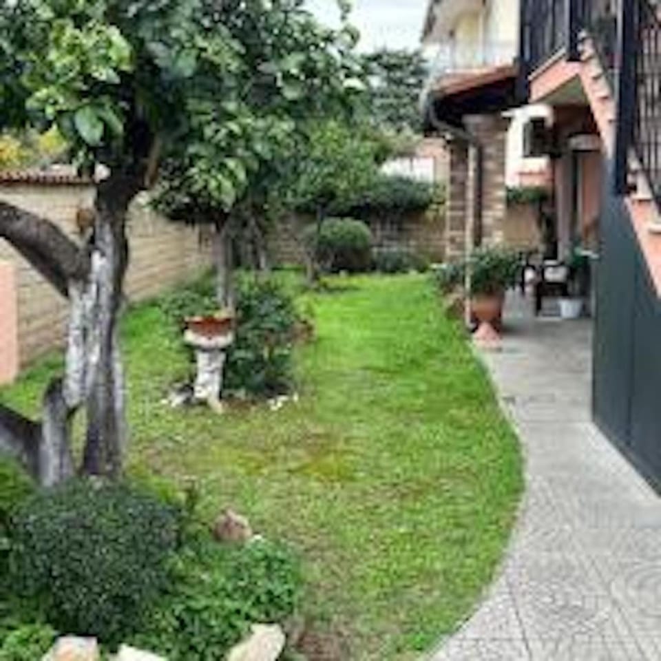 Property building, Garden