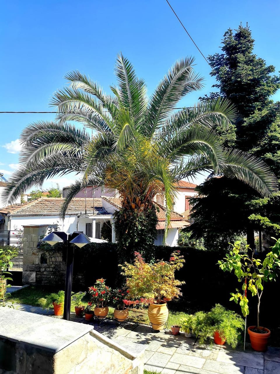 Παραδοσιακή κατοικία-Παλιά Πόλη Villa in Trikala