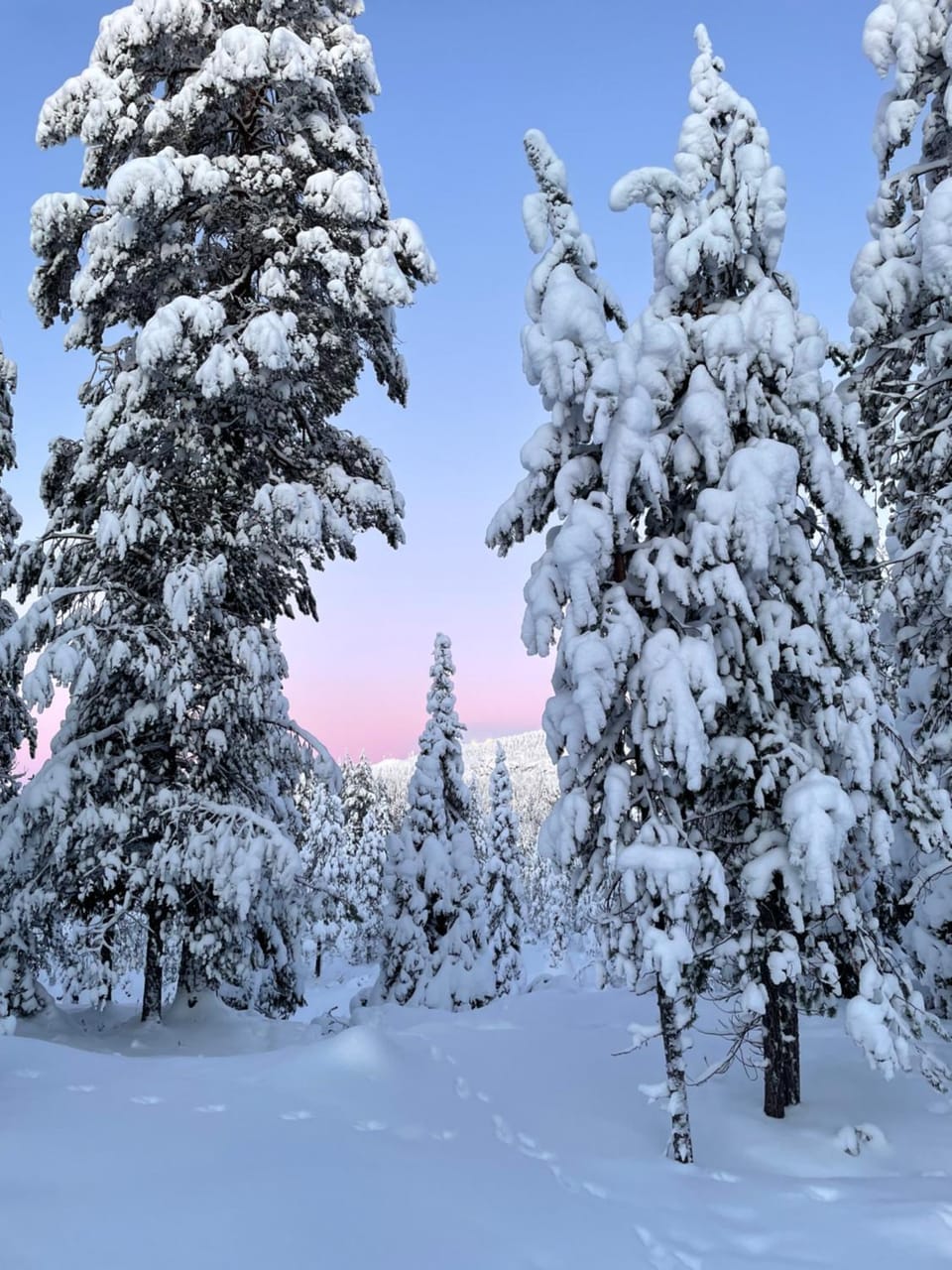 Natural landscape