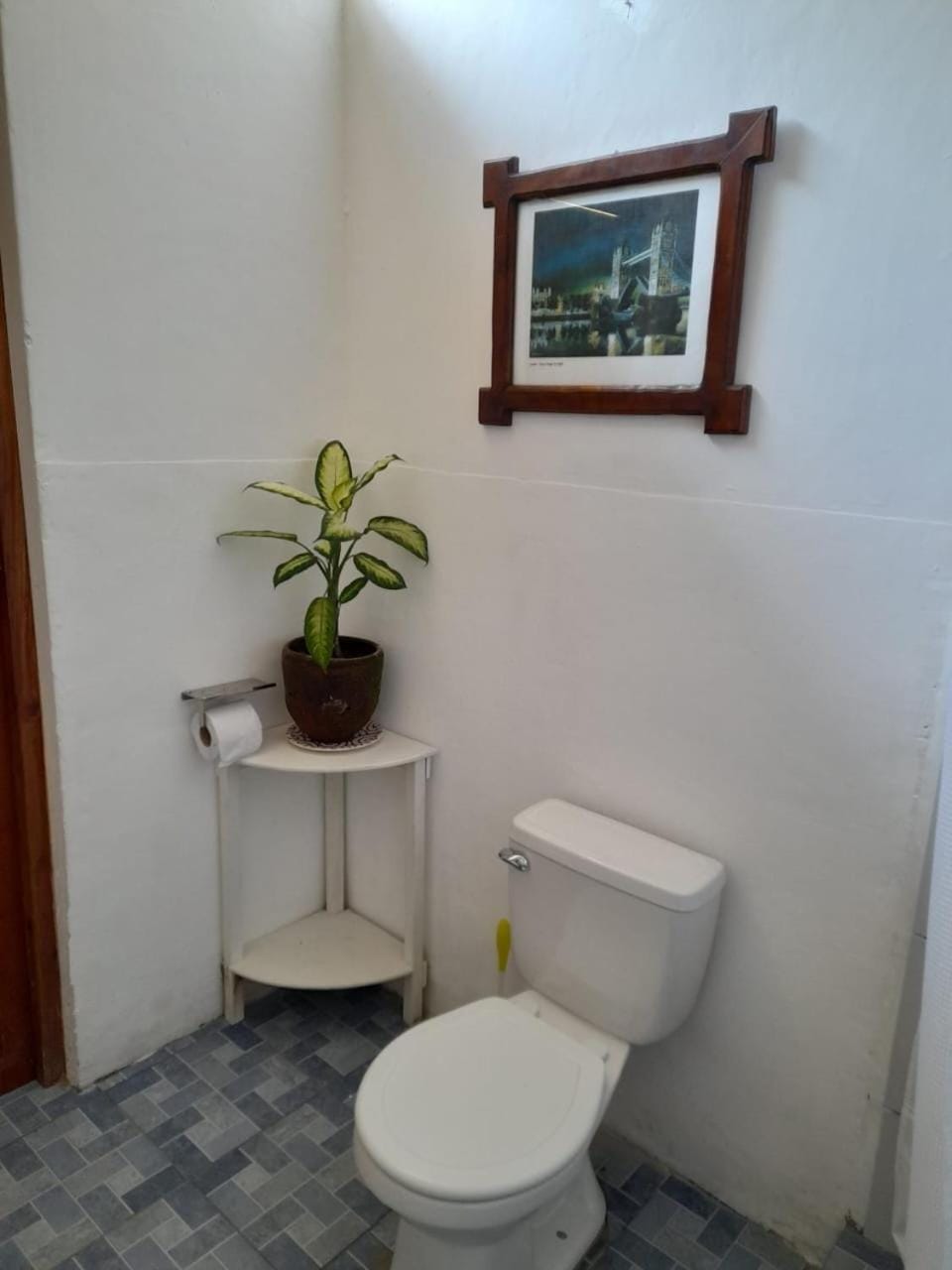 Toilet