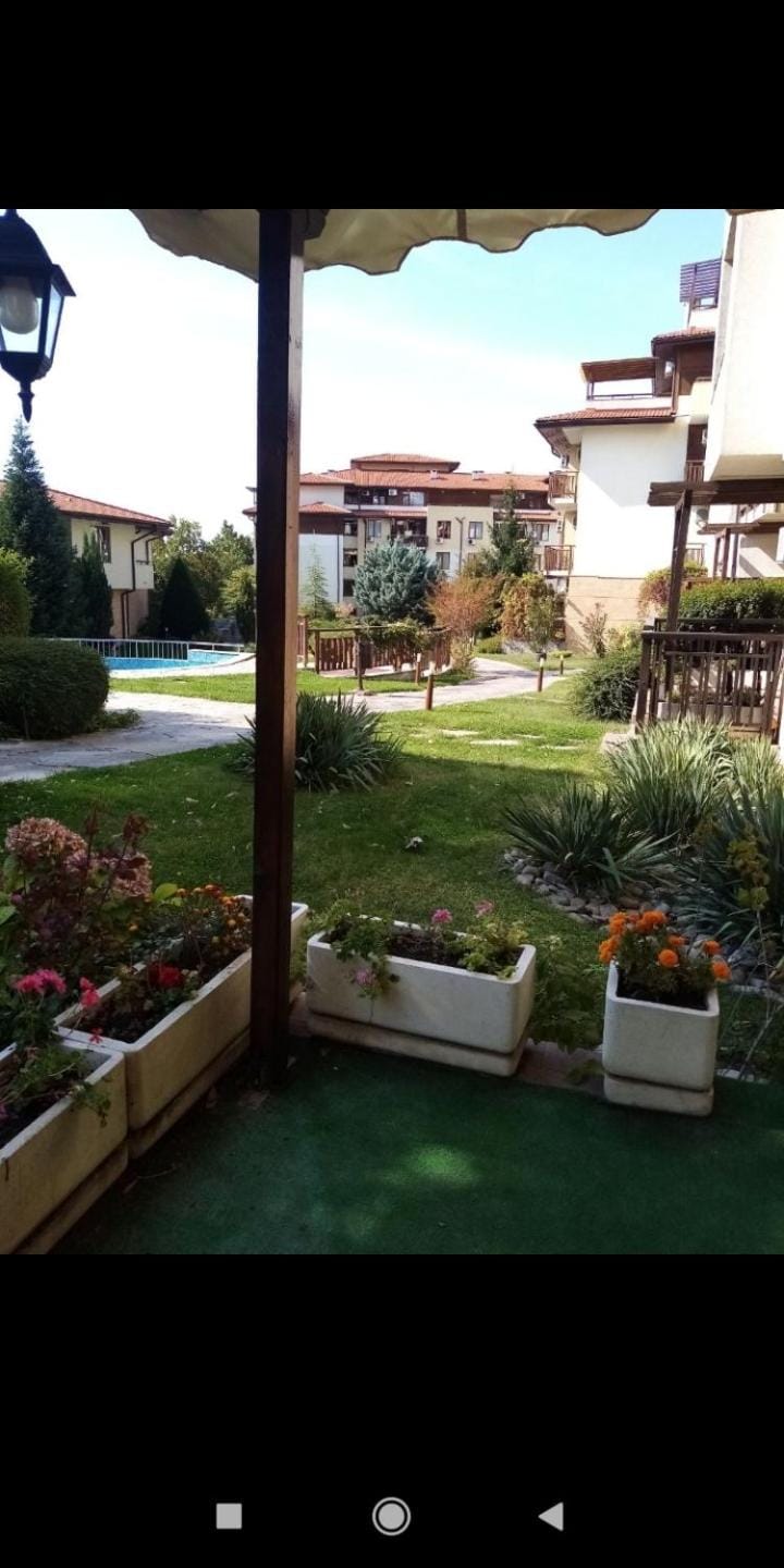 Garden view