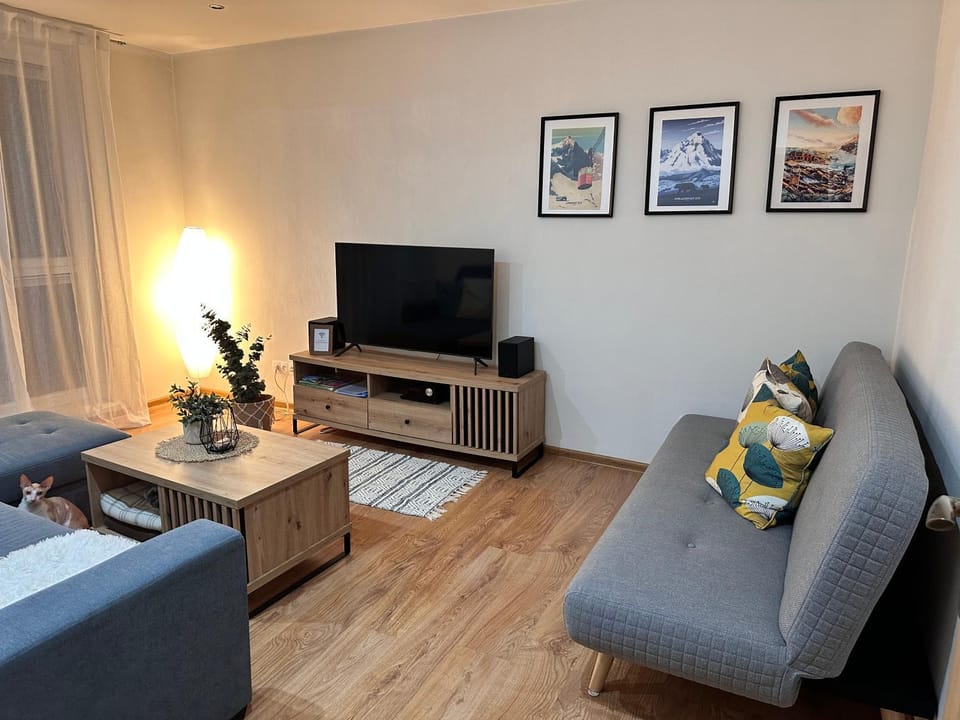 TV and multimedia, Living room