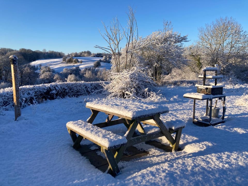 The Dragon's Hut with cozy logburner House in Wales