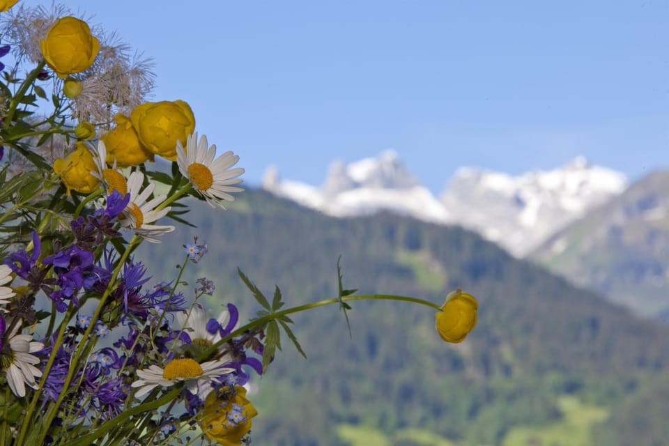 Ferienwohnung Montjola Apartment in Vorarlberg, Austria