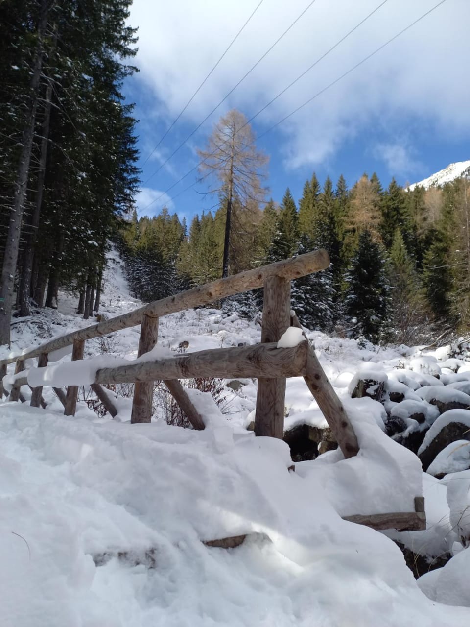 B&B Piazzi di Katia Bed and Breakfast in Province of Brescia