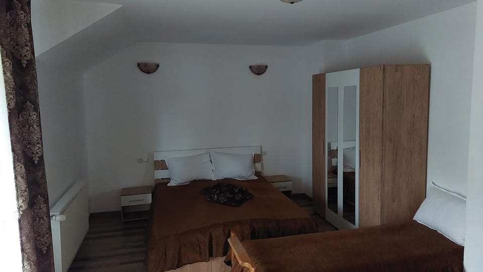 Pensiunea Romosan Bed and Breakfast in Romania