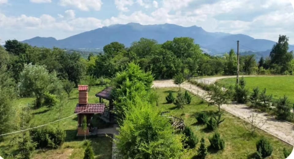 Cabana 33 - Cabin in Bran with mountain view Cabin in Brașov County