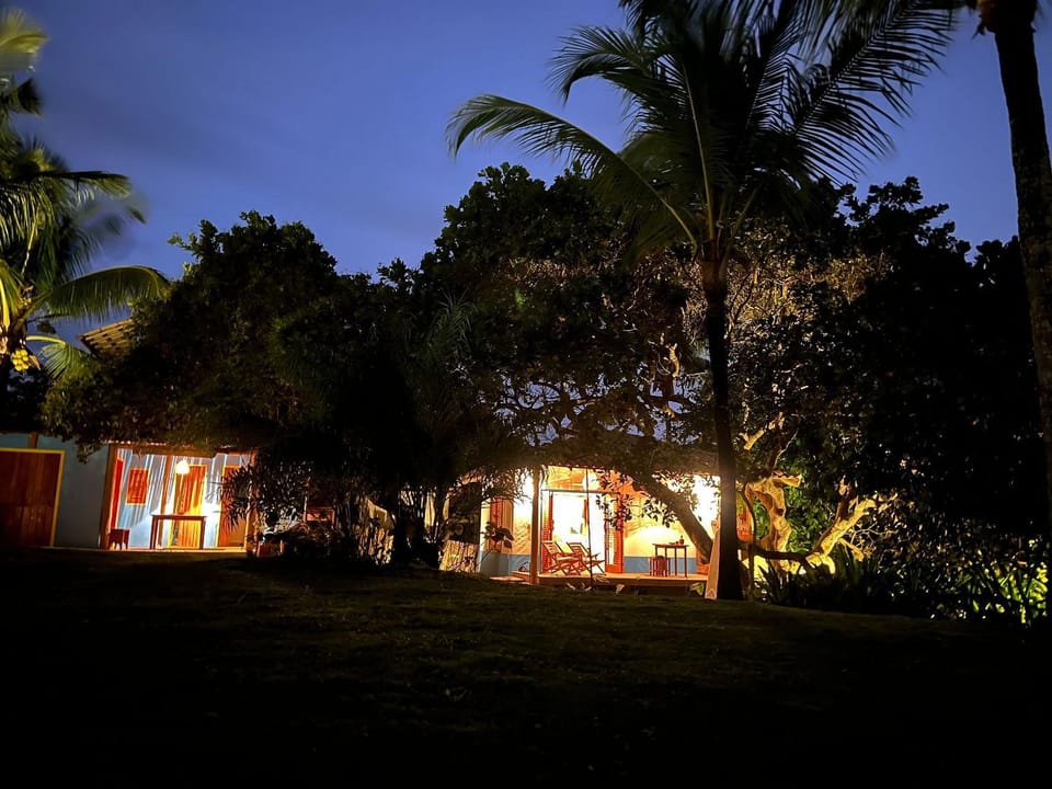 Night, Garden, Garden view