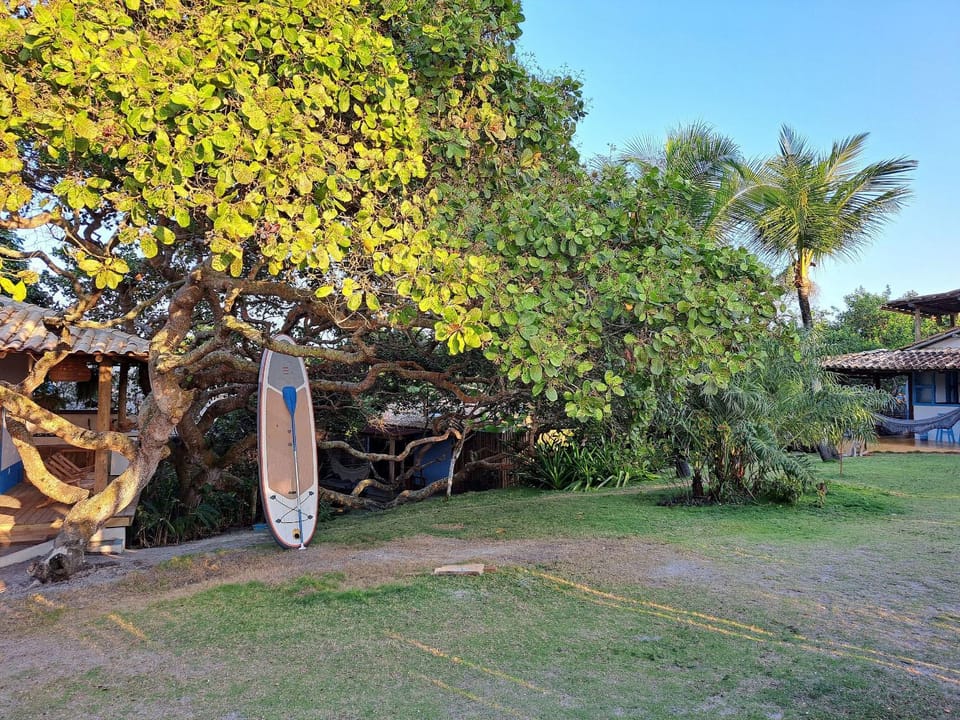 Garden, Garden view