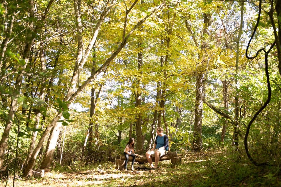 People, Natural landscape, group of guests