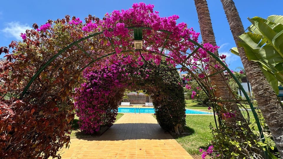 Garden, Pool view, Swimming pool