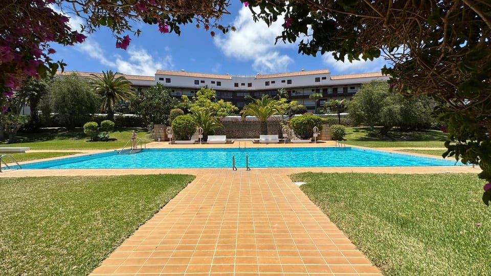 Garden, Pool view, Swimming pool