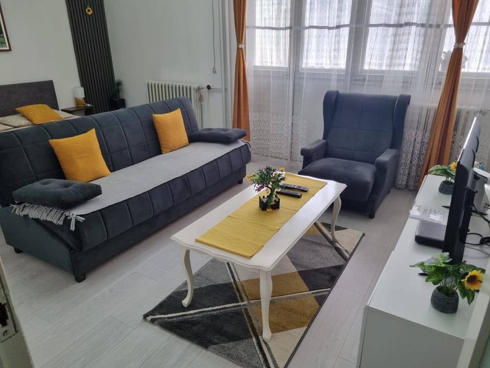 Globus Apartment in Serbia