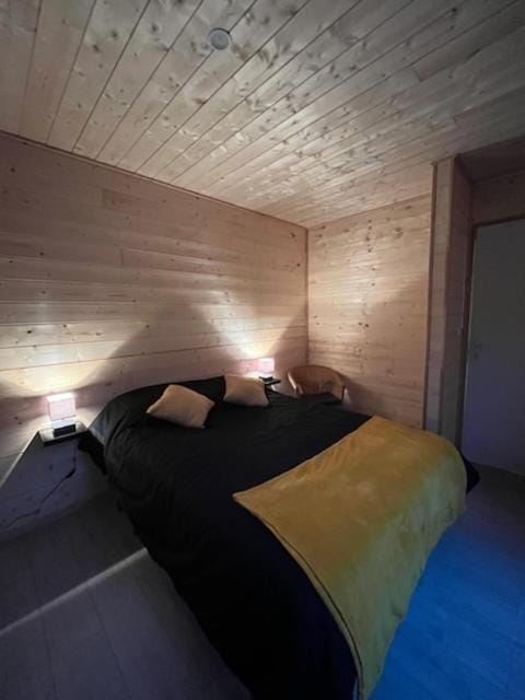 Chalet 1 contemporain dans son écrin de verdure Chalet in Occitanie