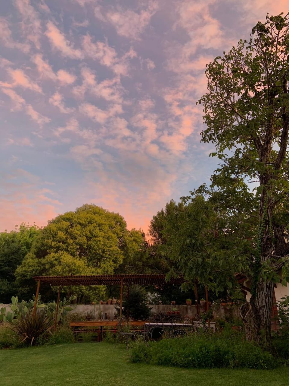 Natural landscape, Garden