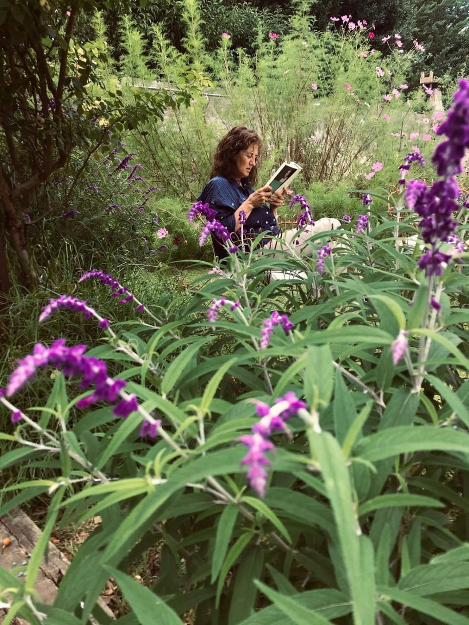 People, Natural landscape, Garden, Garden view