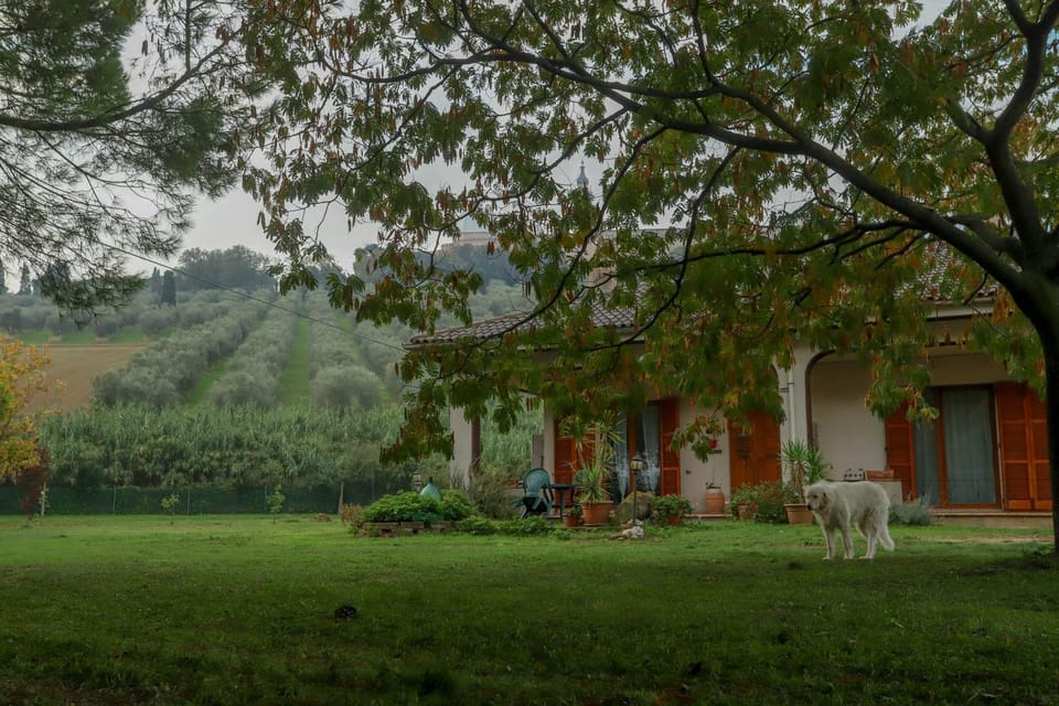 Property building, Day, Garden, View (from property/room), Animals, Garden view