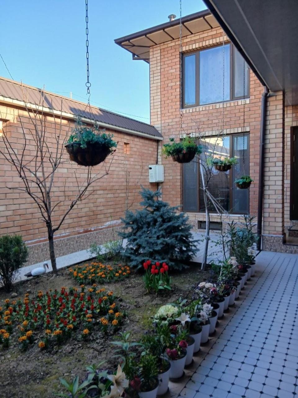 Chaqar House in Europe