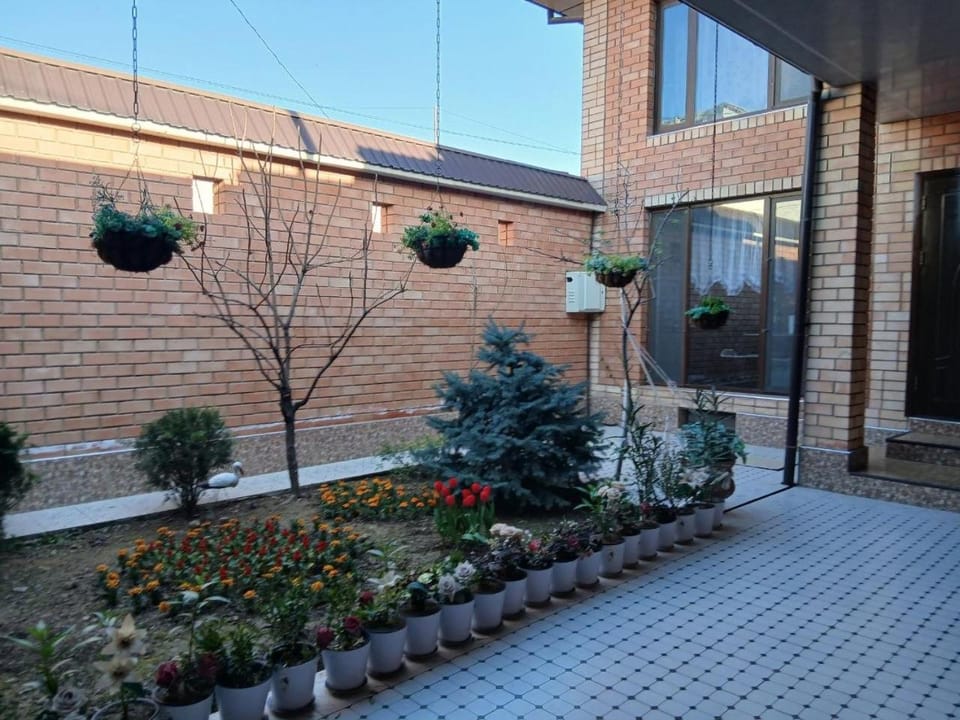 Chaqar House in Europe