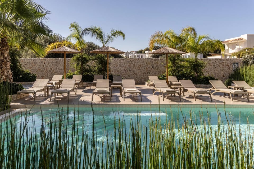 Spring, Day, Natural landscape, Garden view, Pool view, Swimming pool, sunbed