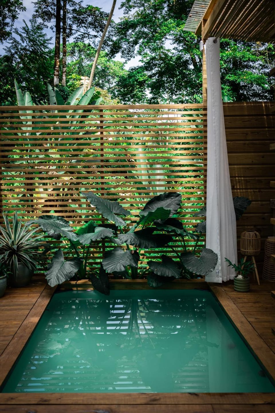 Monkey Tiny House - Private swimming pool House in Bocas del Toro Province