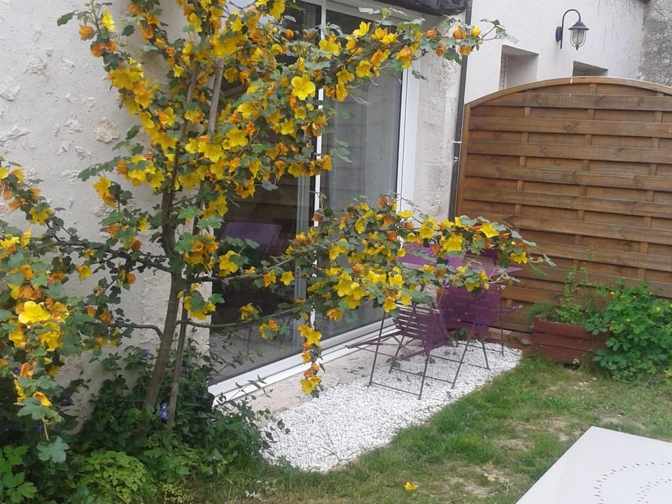 Charmante maison près des châteaux de la Loire avec jardin fermé et animaux bienvenus - FR-1-590-65 House in Centre-Val de Loire