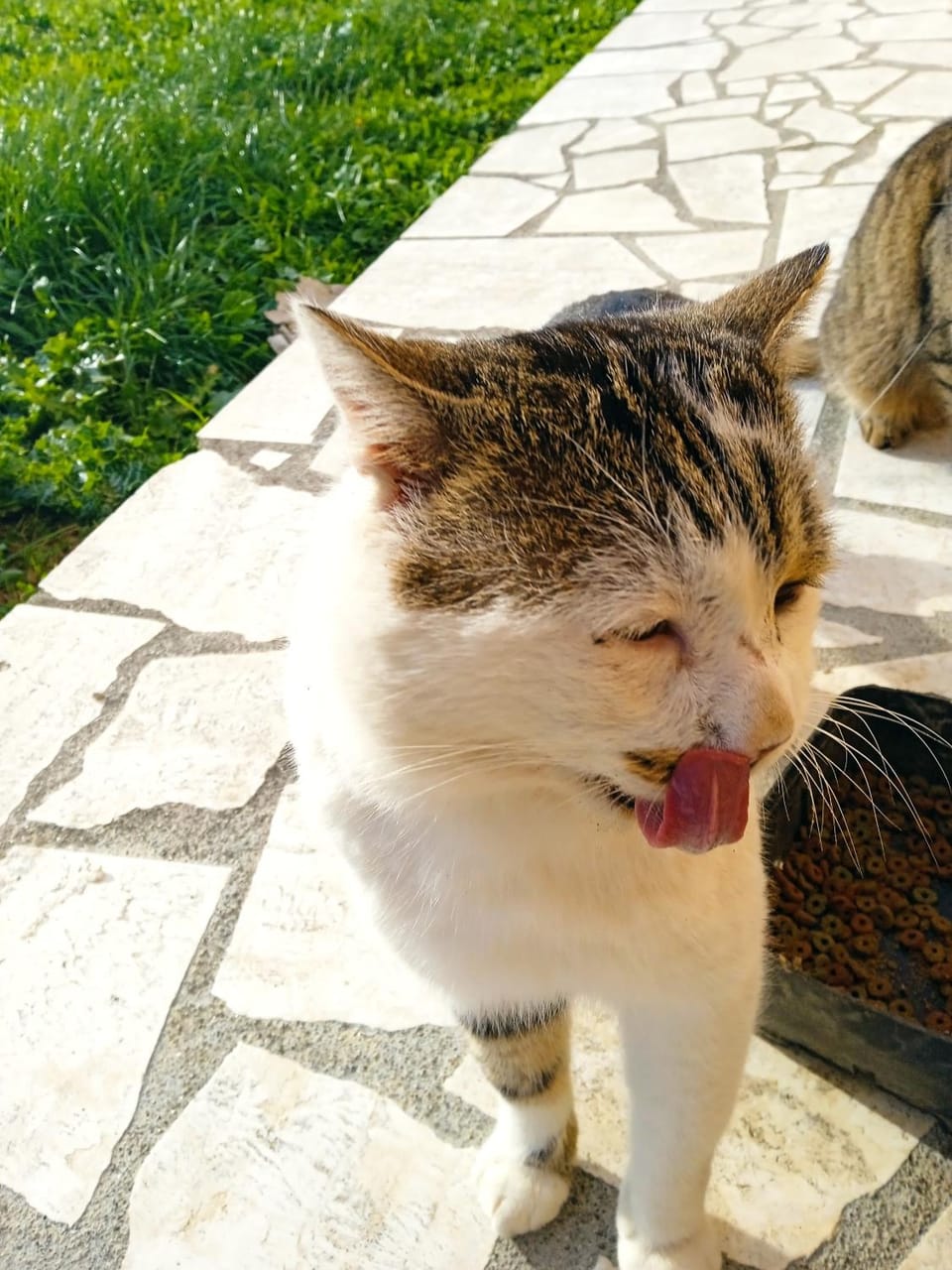 Monolocale Stiacce Apartment in Lazio