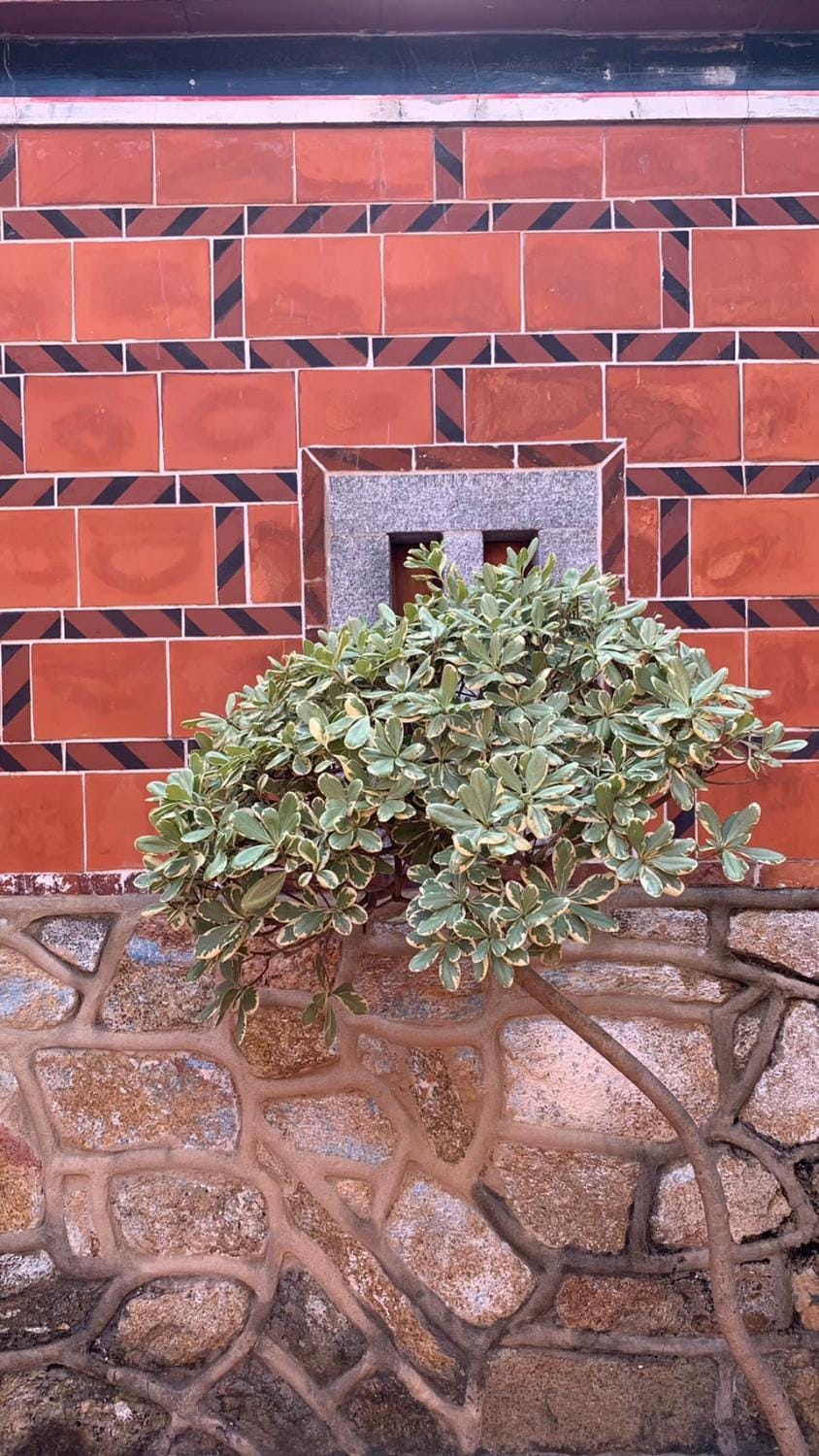Daughter and son Vacation rental in Xiamen