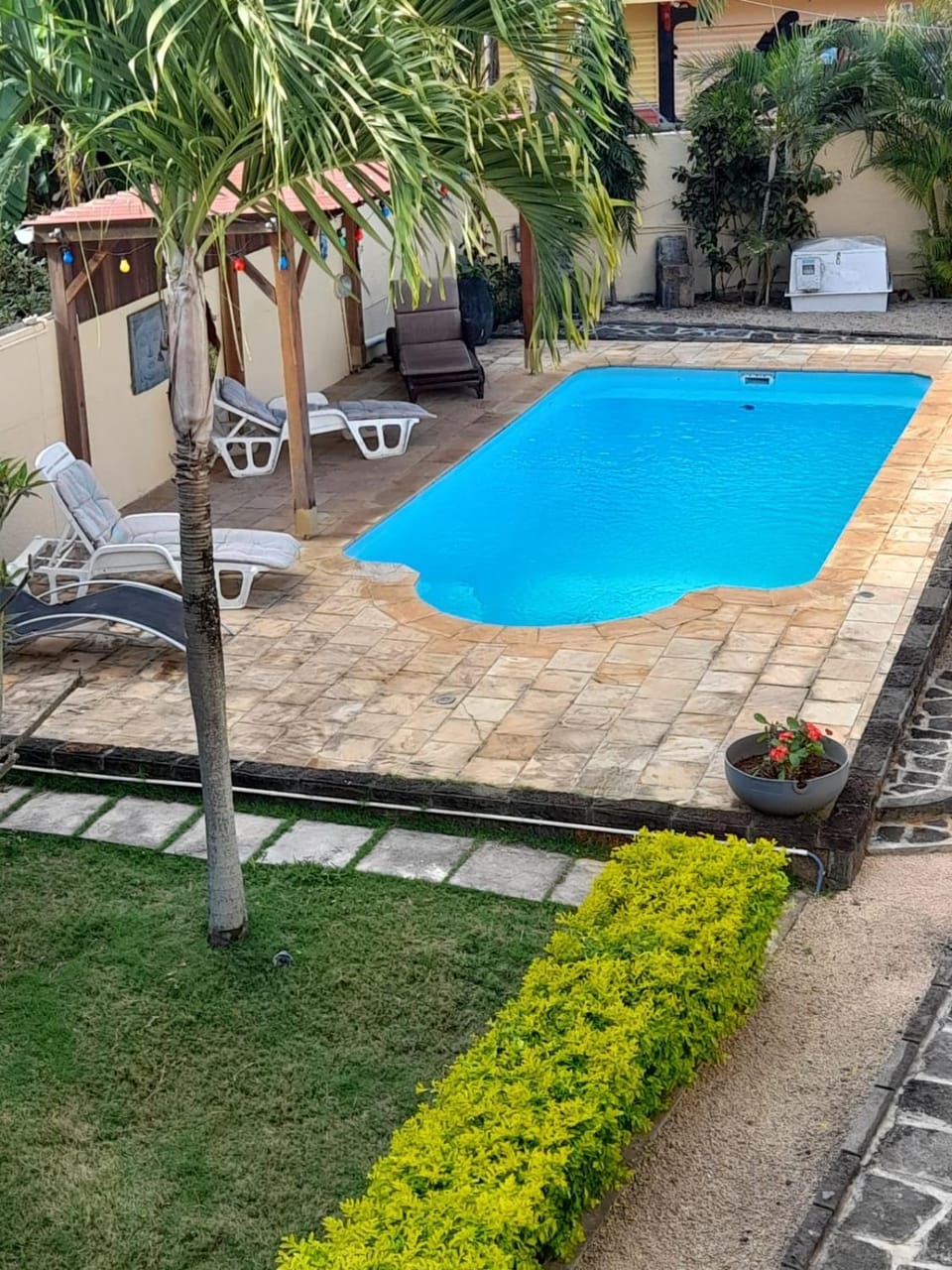 Garden view