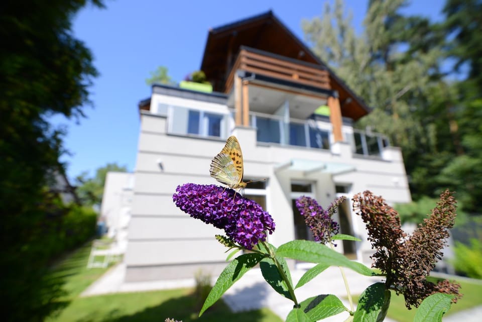 Property building, Day, Garden