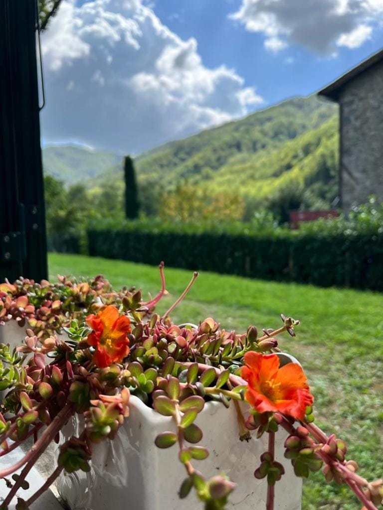 Mountain view