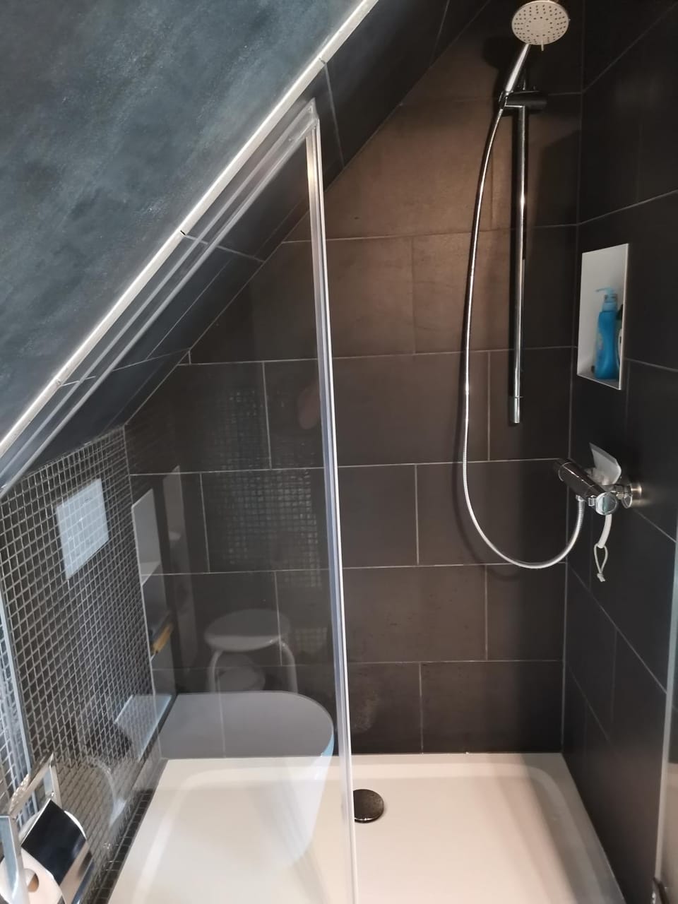 Dachstudio Herkulesblick Apartment in Kassel