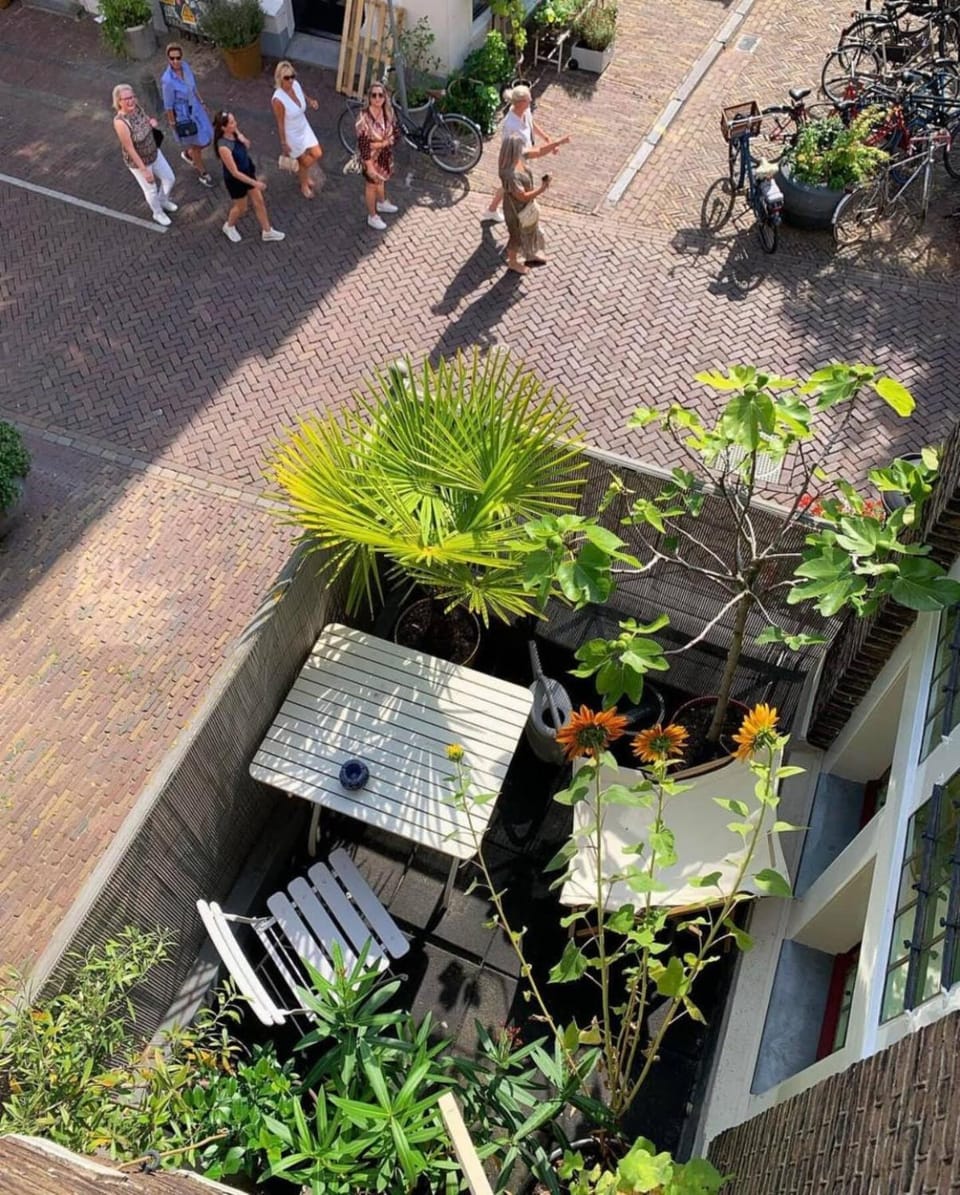 Garden, Balcony/Terrace, Balcony/Terrace