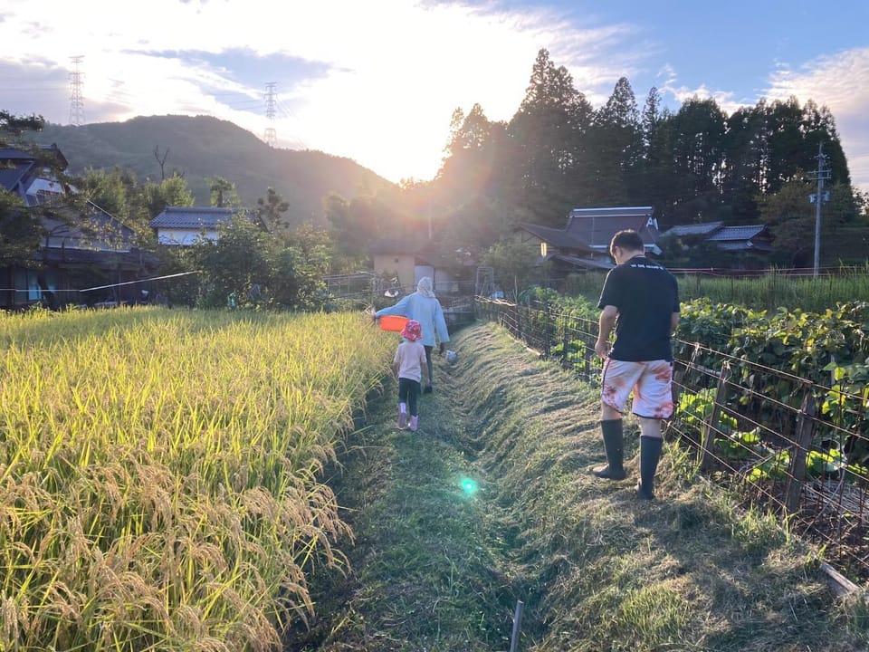 Natural landscape, Garden, children, group of guests, Family