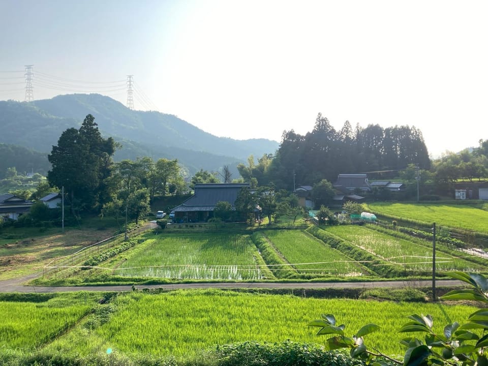 Property building, Day, Natural landscape
