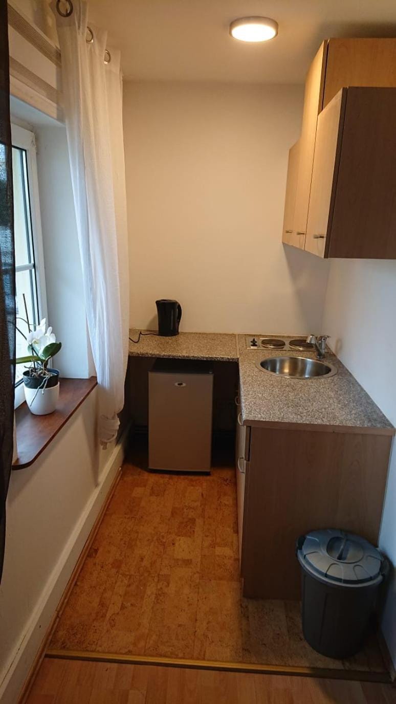 Kitchen or kitchenette, minibar, stove