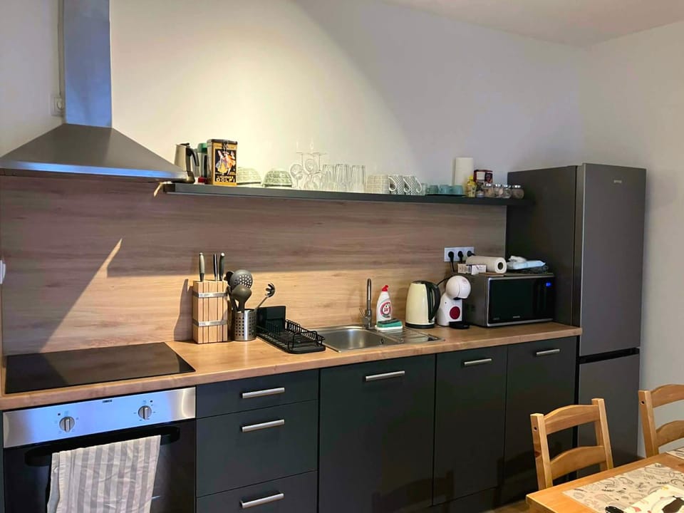 City and Thermal Apartman Apartment in Hungary