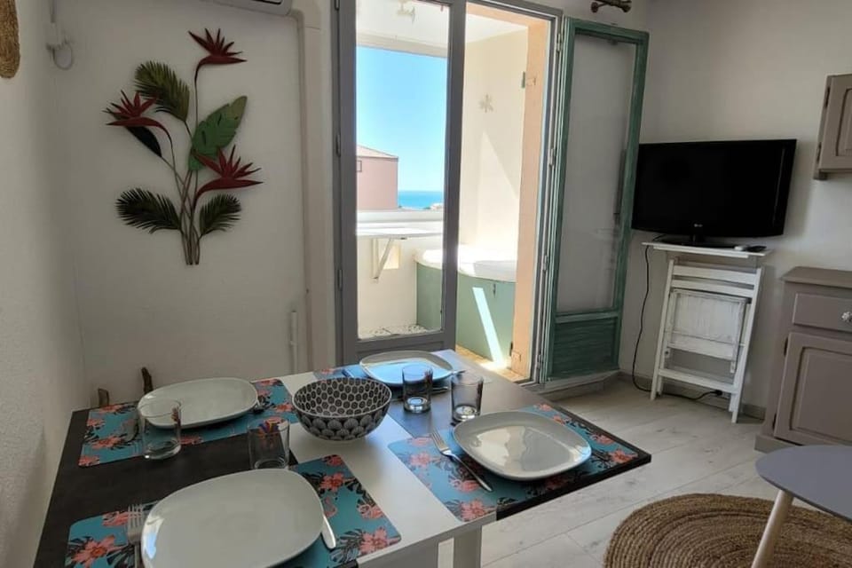 Appartement vue mer climatisé Seaview AC apartment Saint Pierre la Mer Apartment in Fleury