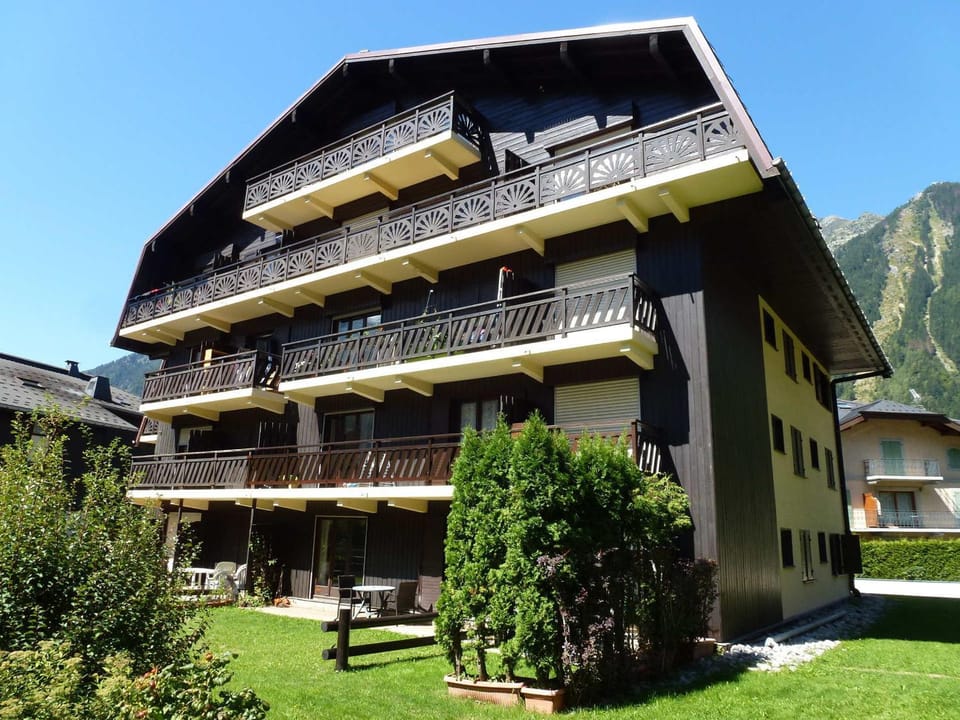 Studio charmant avec vue Mont-Blanc, Wifi et animaux acceptés - FR-1-343-221 Apartment in Chamonix