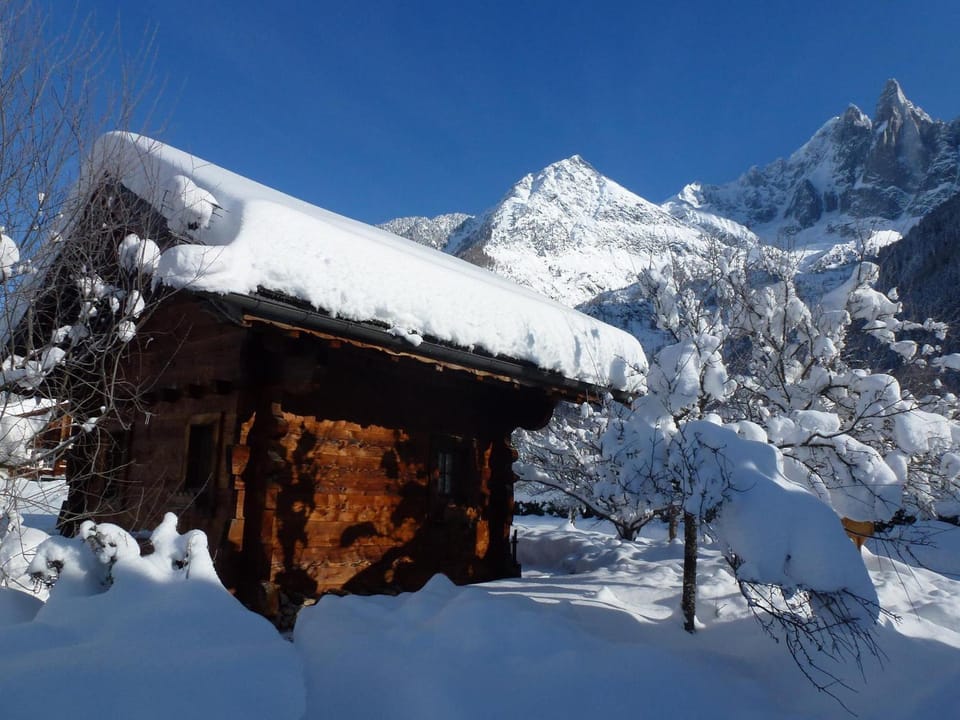 Charmant mazot avec jardin, animaux admis, parking, wifi - FR-1-343-215 Chalet in Chamonix