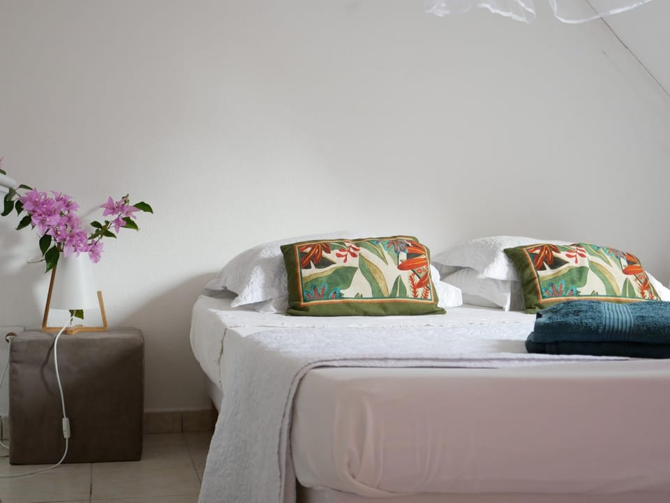 Charmante villa avec accès direct à la mer House in Leeward Islands