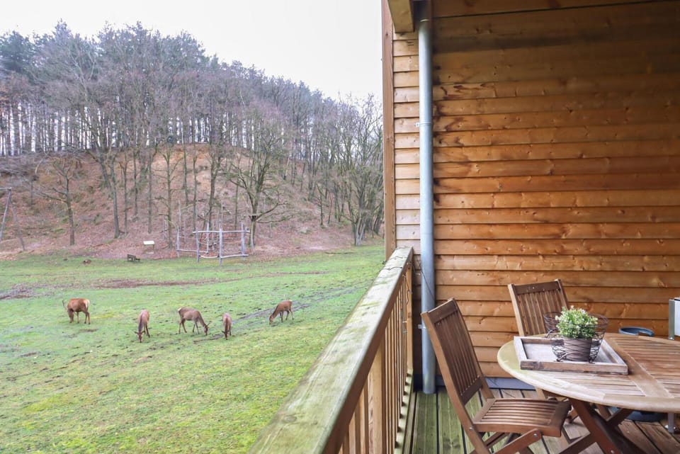 Recreatiedomein Warredal - The Lodge Apartment in Dilsen-Stokkem