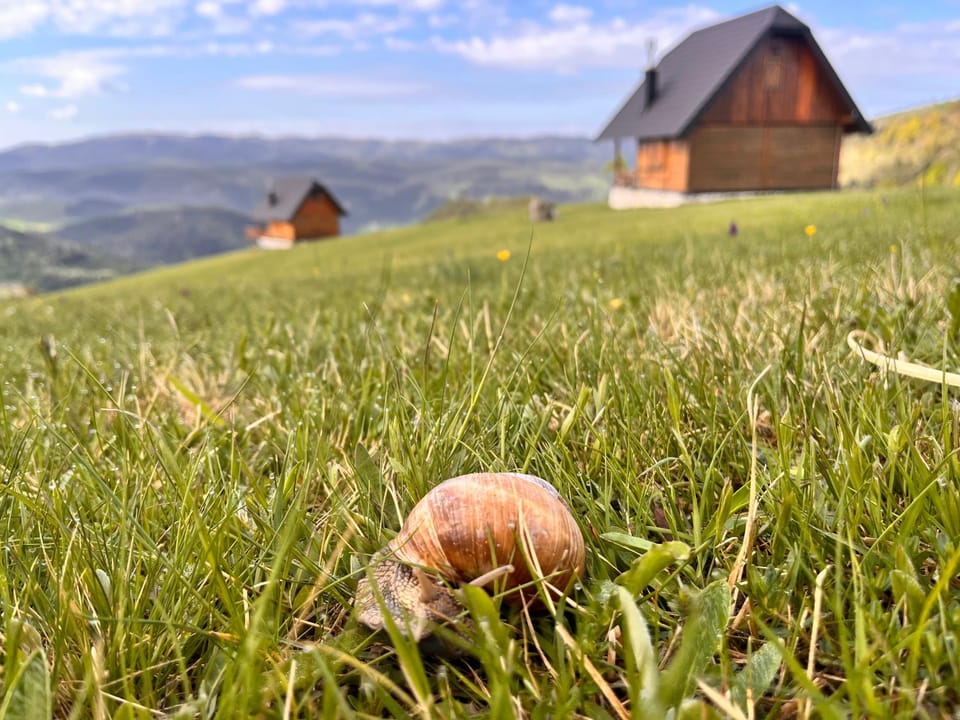Zlatarski raj House in Zlatibor District, Serbia