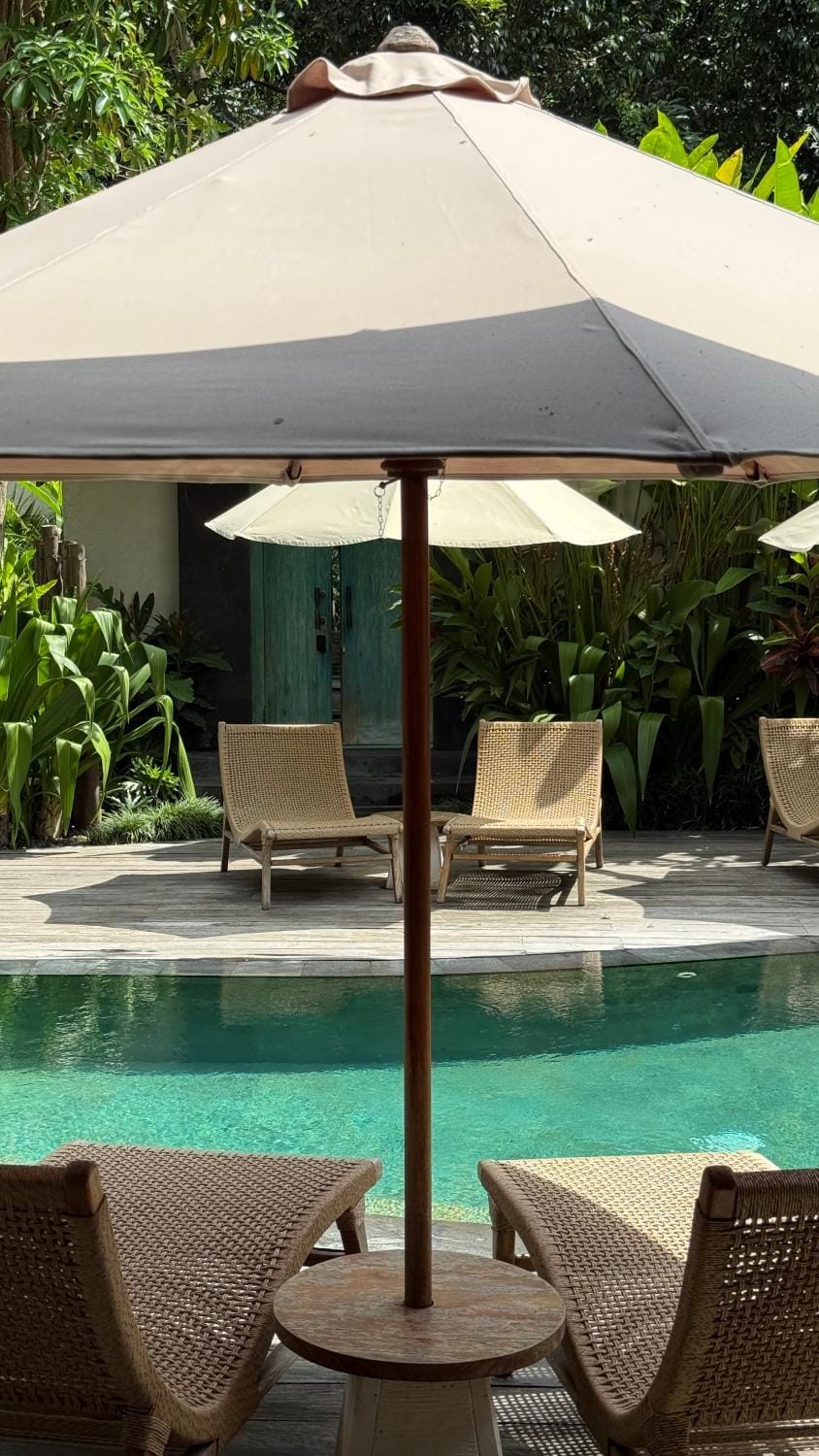 Garden, Pool view, Swimming pool, sunbed