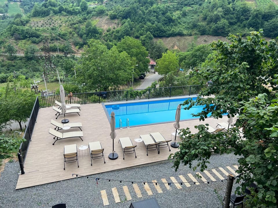 Natural landscape, Pool view, Swimming pool, sunbed