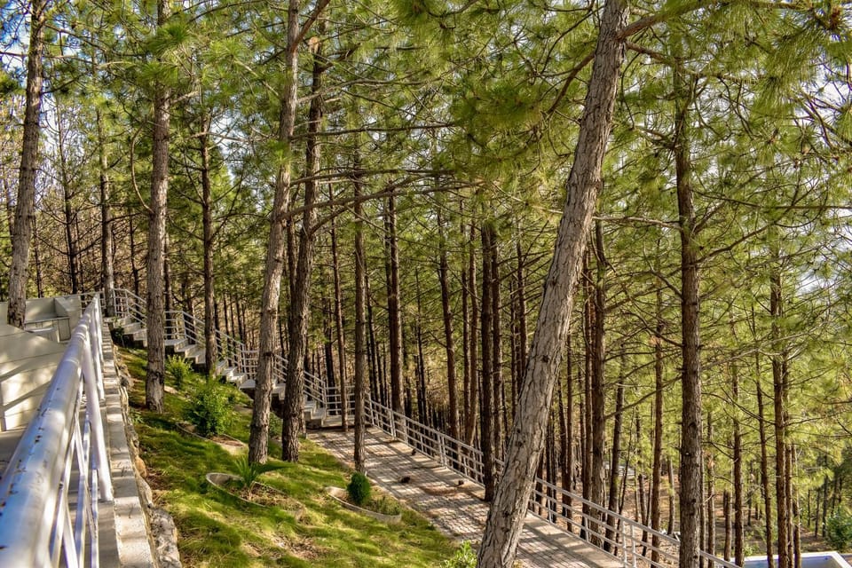 Natural landscape