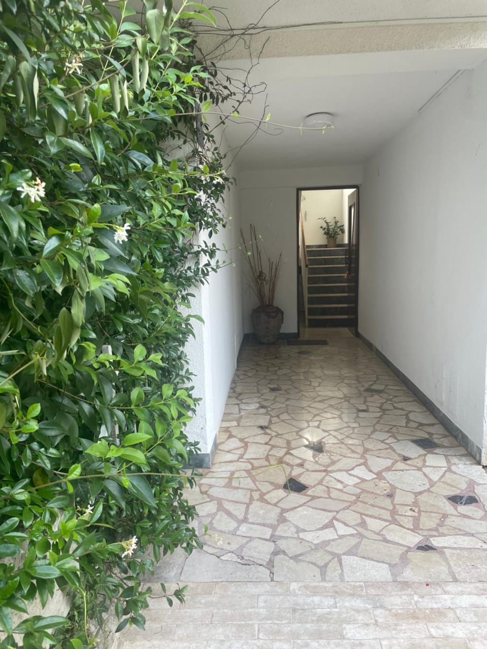 Apartments Bloom near the beach Apartment in Poreč